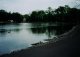 ParkPond - 1
